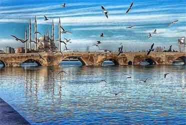 Adana Şehirler arası Nakliyat